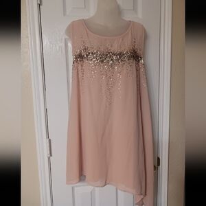 Lane Bryant Pink Blouse with Silver Accents